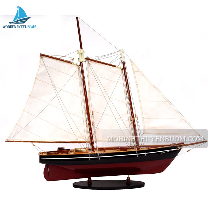 Sailing Boat America Painted Model