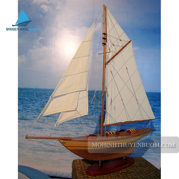 Sailing Boat Avel Model Lenght 60