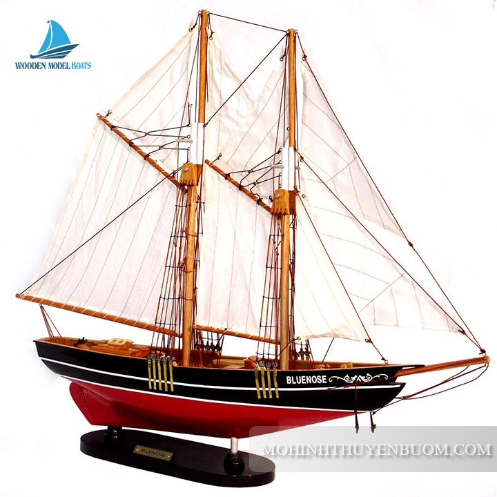Sailing Boat Bluenose Painted 60 Lenght - 80 Lenght
