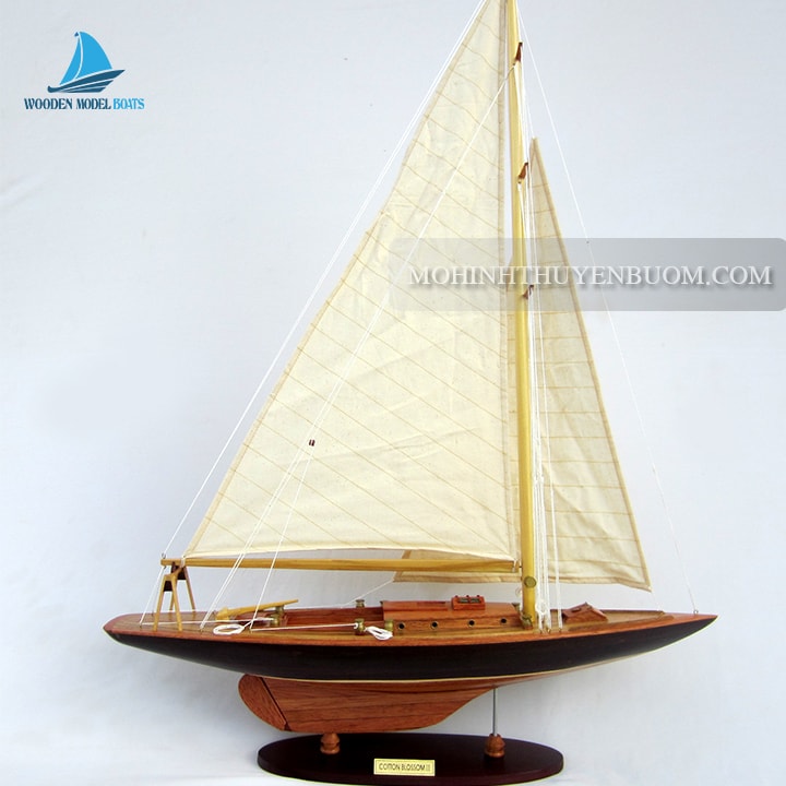 Sailing Boat Cotton Blossom II Model Lenght 60