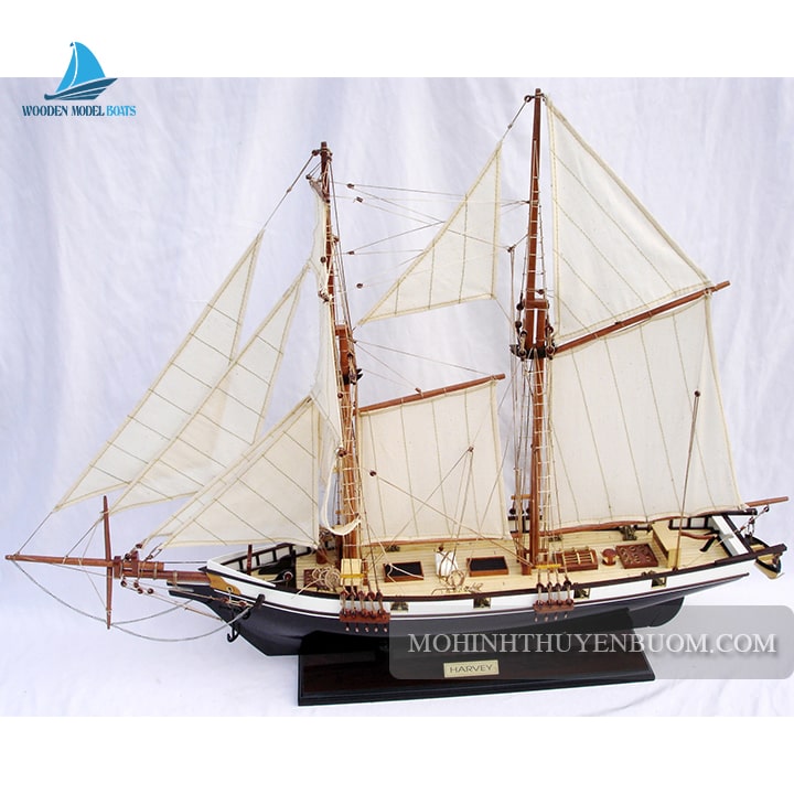 Tall Ship Harvey Painted Model Lenght 60